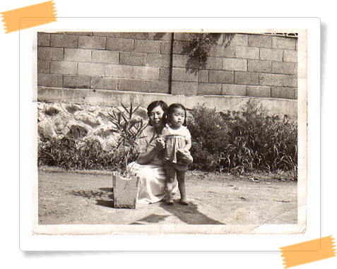 저두 3살때가 있었네요.