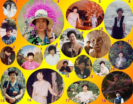 나의 젊은 시절의 꿈(1)