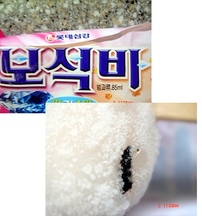 보석바엔 보석이 없고 벌레만 있다?