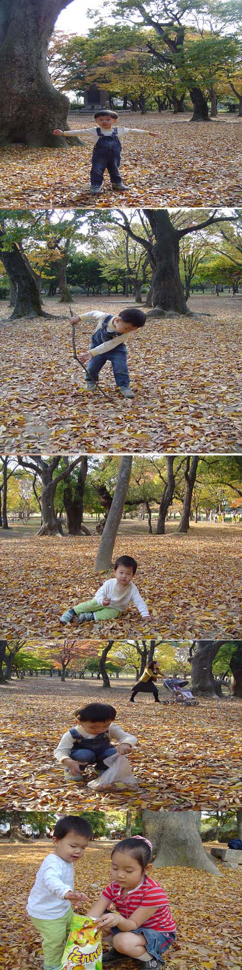 낙엽이 깔린 공원에서 가을즐기기