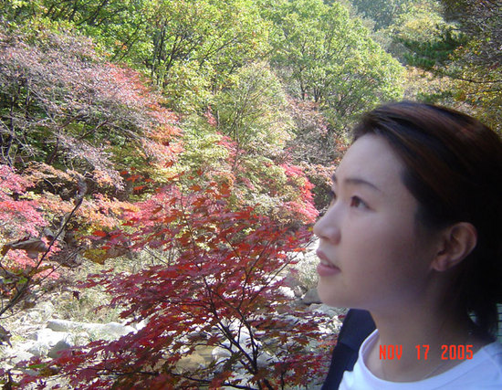 가을 속으로