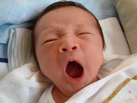 현수가 태어났어요