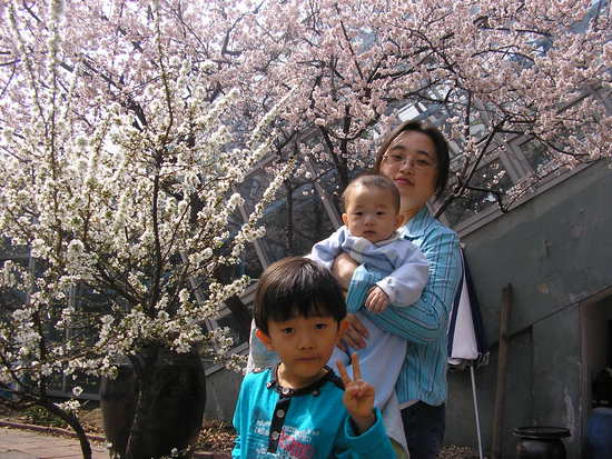 남산식물원에서