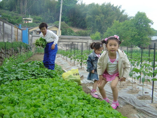 채소길러 먹여 주시던 엄마 보고싶어요..