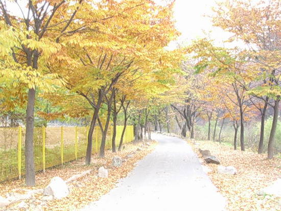 컨텐츠이미지