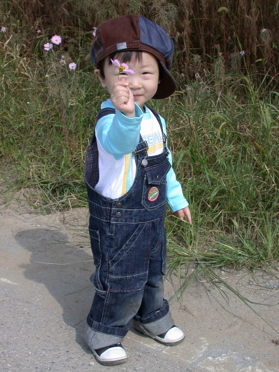 코스모스 들고..