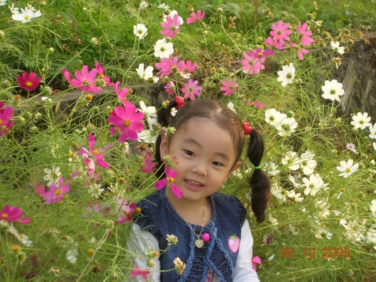 코스모스랑..