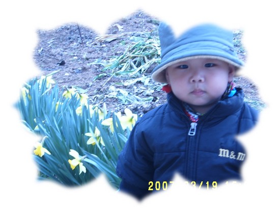 마당에 찾아온 봄