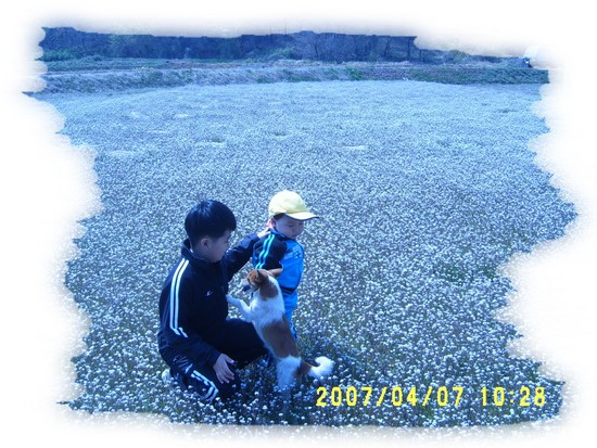 자운영을아시나요??