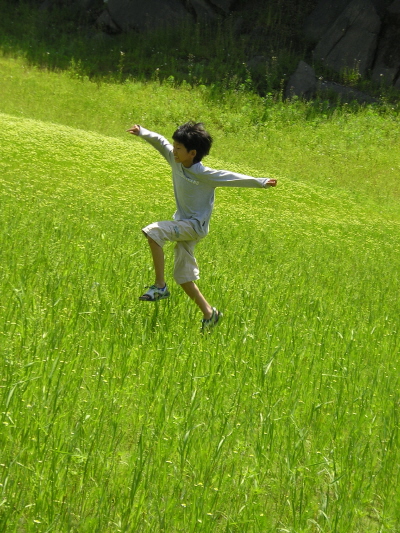 그린의 싱그러움과 함께