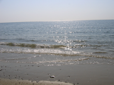 바라보자. 시원하게