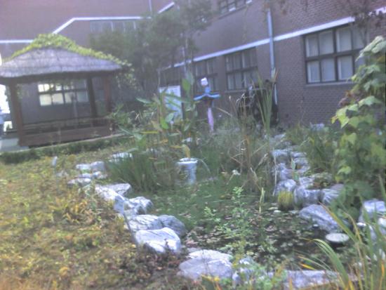 학교에 갔다가...