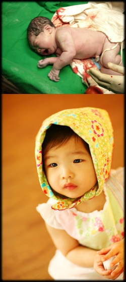 벌써 1년이 다 되어갑니다.