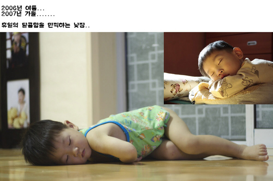 그녀석의 달콤한 낮잠...