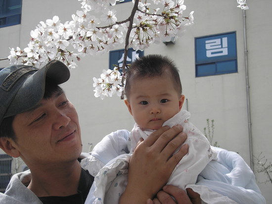 벛꼿아래 서서