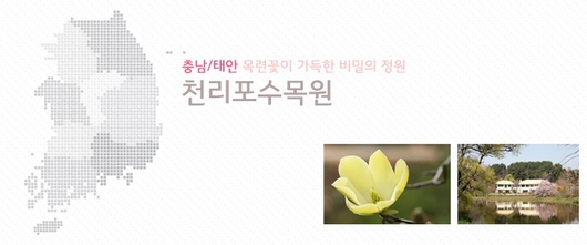 봄이면 더 생각나는 봄나들이 장소넷!
