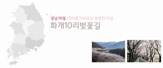 봄이면 더 생각나는 봄나들이 장소넷!
