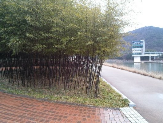 강변의 회전카페