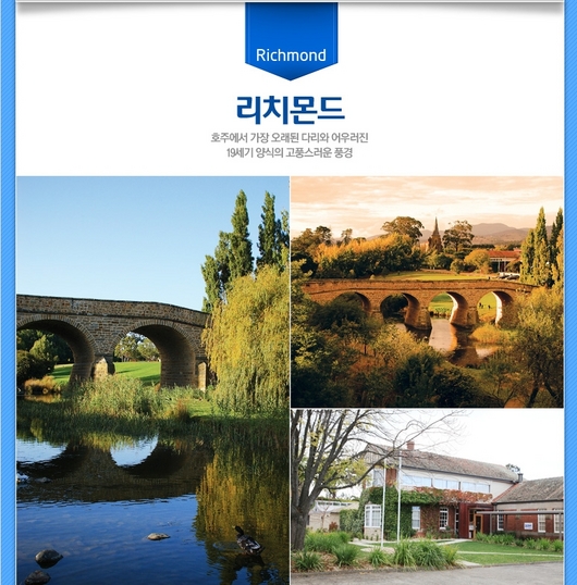 쿠팡의 태즈매니아 이벤트 하면 제주도가?