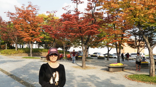 서울숲에 피어 오르는 국화향기 그윽해요~~