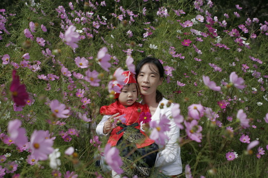 가을추억풍경 담아내기