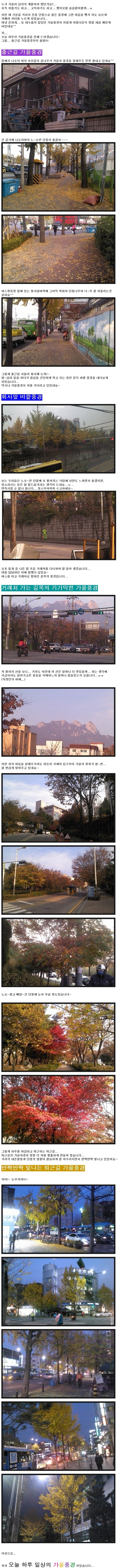출근길 부터 퇴근길까지 가을을 흠뻑  느꼈어요~