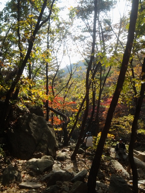 관악산에서본 가을풍경