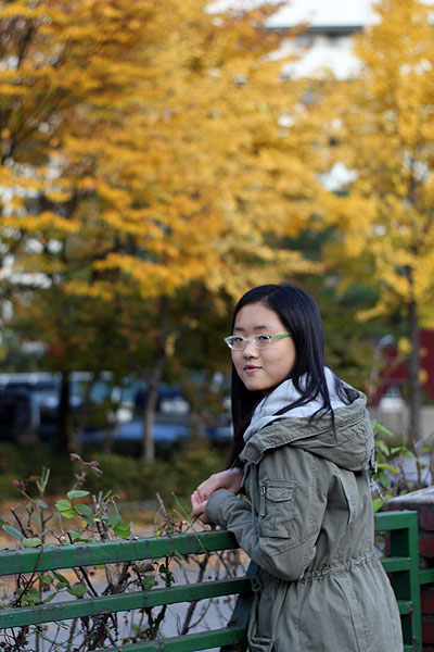 특별한 은행잎 몇 장 ~