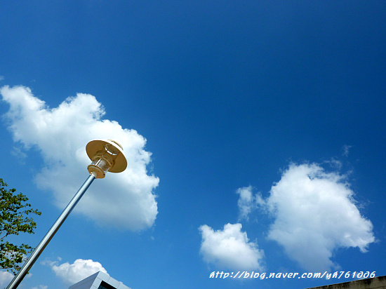 대전 한밭수목원 ♡ 가족과 함께 가을나들이
