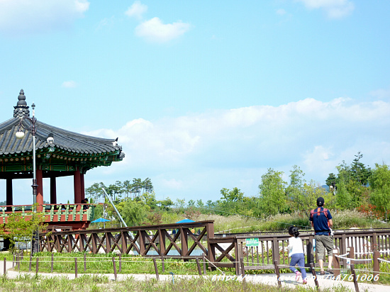 대전 한밭수목원 ♡ 가족과 함께 가을나들이