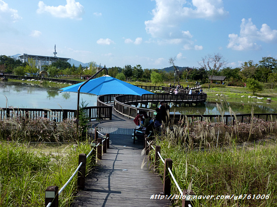 대전 한밭수목원 ♡ 가족과 함께 가을나들이