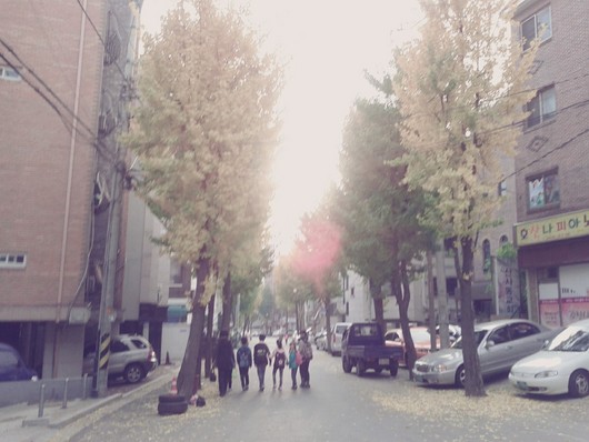 우리동네 ,사무실 생활안에서 가을을 찾다!!!