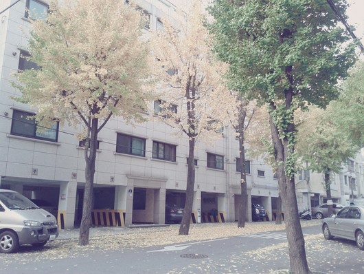 우리동네 ,사무실 생활안에서 가을을 찾다!!!