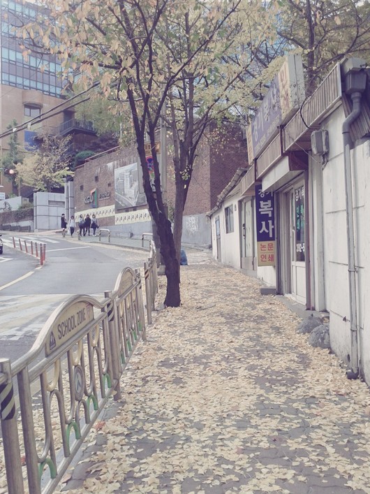 우리동네 ,사무실 생활안에서 가을을 찾다!!!