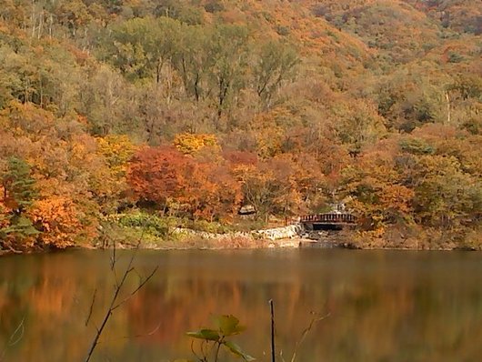 서울 대공원 가을 풍경!!