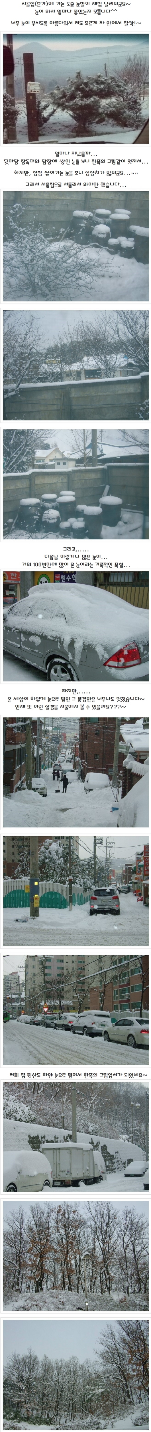 눈으로 덮인 세상...