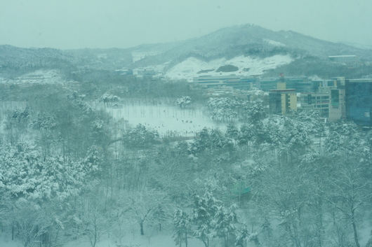 돈않드는 썰매장!!!