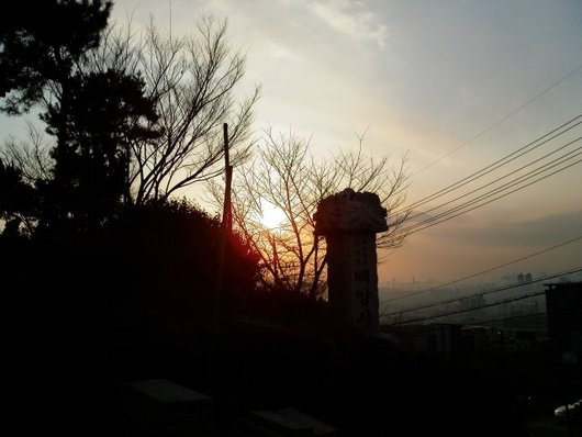새해맞이