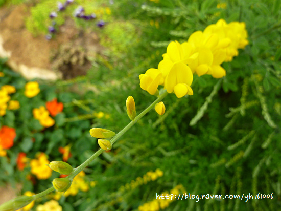 가족과 함께 산들소리 수목원으로 봄여행!