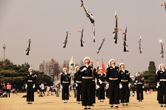 국립현충원 벚꽃(동작동)