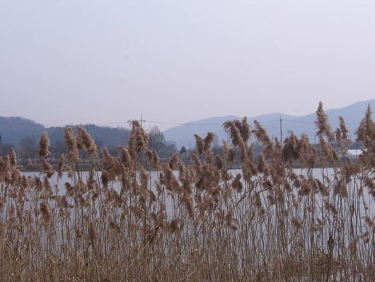 두물머리 가는길