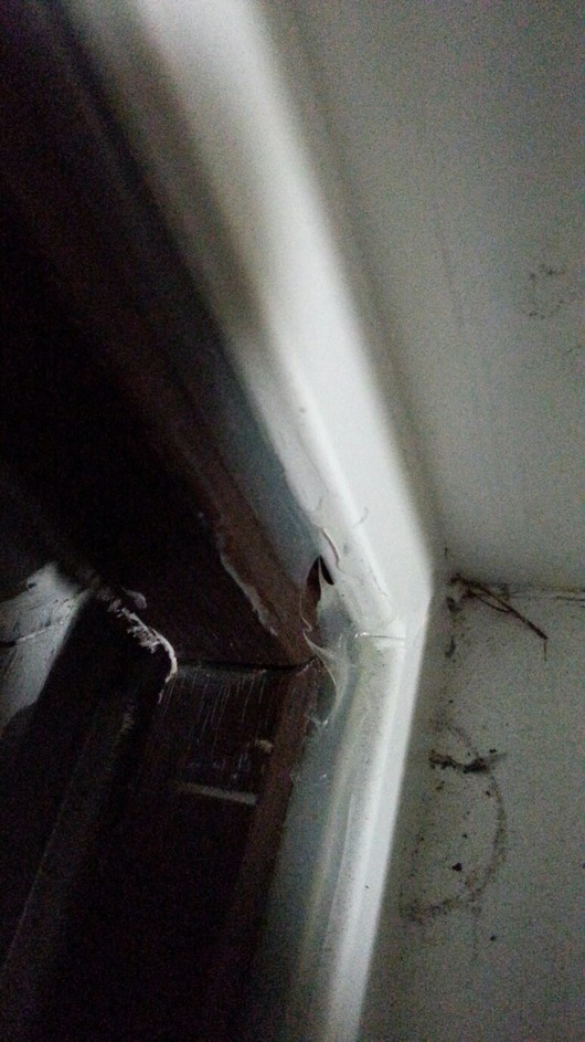 조언부탁드립니다 ㅠㅠㅠㅠ