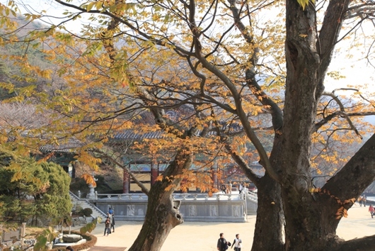 석모도펜션)낭만적인 겨울 여행지 석모도.. 그리고 해수온천