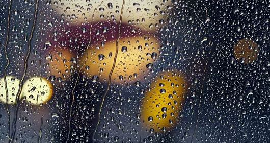 헤이! 호! 신기방기한 광고들 ! 헤이! 호! [웰라동물원 현대자동차 쏘나타]