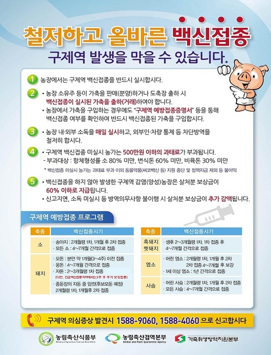 구제역 백신접종만 하면 된다는데..