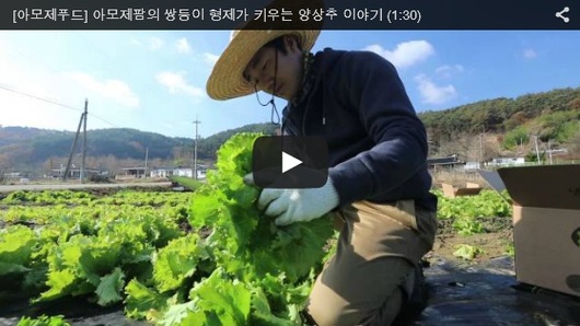 단호박 껍질 쉽게 벗기는 방법^^아모제푸드 펌ㅎ