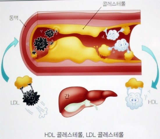 맛있는 대하가 콜레스테롤도 낮춰준데요!!!