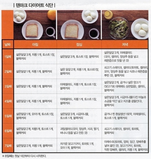 덴마크다이어트(달걀다이어트) 식단과 성공Tip