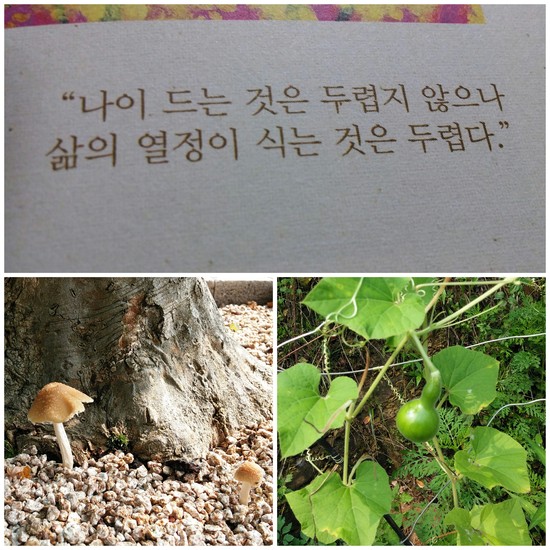 항아리저금통