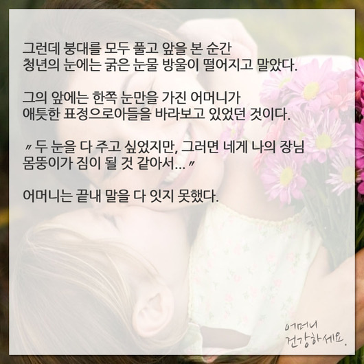 어머니의 한쪽 눈